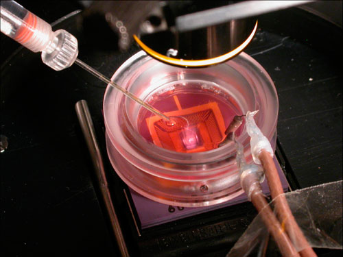 孔板流量计生物传感器